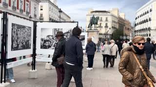 Bolivariano Exhibition Madrid [upl. by Wertheimer]