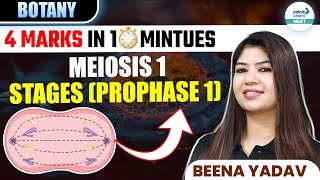 Stages of Prophase 1 of Meiosis 1  🎯4 Marks in ⏰ 10 Minutes  Class 11 botany  NEET 2025 [upl. by Frederigo]