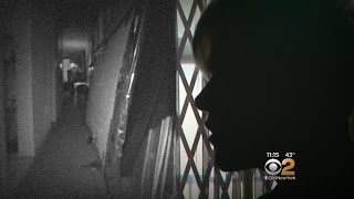 Seen At 11 Authorities Take New Approach To Cracking Stalking Cases [upl. by Ariana]