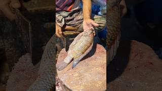 Unique Aesthetic Popular Big Tilapia Fish Cutting Skills In Expert Cutter 😱😱 shorts [upl. by Yard678]