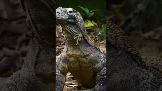 Cómo ocurrió REALMENTE la Historia de los Dinosaurios  dinosaurios tierra documental [upl. by Okimik133]