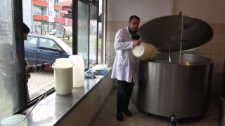 Milk Collection Center in Istog Kosovo [upl. by Couq]