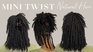 The Best Mini Twists for Low Porosity Hair [upl. by Getter]