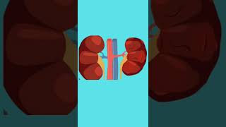 kidney kharab hone ke lakshanshort science medical fact health [upl. by Earas]