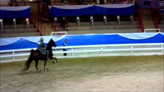 William Shatner Riding at the Blue Ridge Classic [upl. by Anaud362]