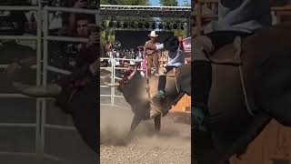 VITATE DE JALISCO VS EL PENI DE RANCHO LA FURIA EN COLUSA CA [upl. by Htabmas488]