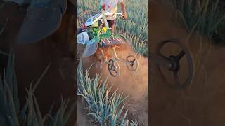 Pyaj ki kheti karne ki machine 🌾 pyaj machine kheti farming shortvideo shorts [upl. by Radmen]