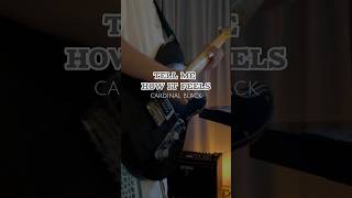 Cardinal Black Tell Me How It Feels  Solo Cover guitar blues chrisbuck solochallenge [upl. by Garrik]