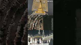 Islamic☪️ status islamicstatus harram madina makkahmadina fyp foryou shortsvideo shortvideo [upl. by Ehrenberg512]