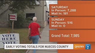 How many Nueces County residents voted this weekend [upl. by Issac]