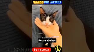 CACHORRO VS ABELHA 🤣 TADINHOS tentenãorir engraçados memes [upl. by Kalmick893]