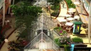 Royal Caribbean  Oasis of the Seas Ship Tour  Iglu Cruise [upl. by Inaflahk]