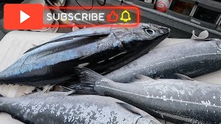 WESTPORT WA ALBACORE TUNA AND SALMON FISHING OFF THE COAST OF WASHINGTON fishing fish tuna food [upl. by Bendix567]