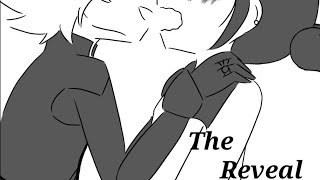 Miraculous Ladybug Comic  The Reveal [upl. by Rodolph584]