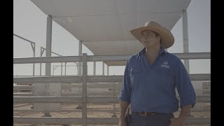 Smithfield Cattle Co  Sapphire Feedlot [upl. by Ellehsal867]