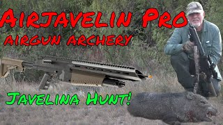 Airgun Hunt for Javelina I Umarex AirJavelin Pro I Airgun Arrow [upl. by Ileek]