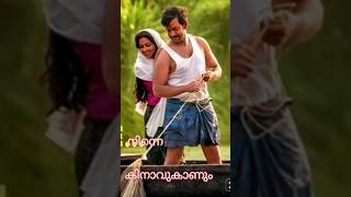 Ninne kinavukaanum aadujeevitham aadujeevitham prithviraj chinmayisripaada arrahman shortsfeed [upl. by Terrilyn132]