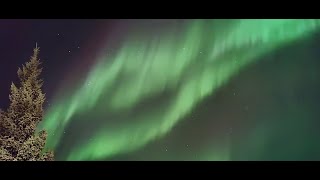 Amazing Northen Lights in Iceland [upl. by Stillmann]