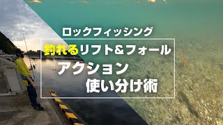 【根魚ルアー】アクションの使い分けをすればさらに釣果UP！初心者におすすめなリフト＆フォールをご紹介！ [upl. by Annmaria]