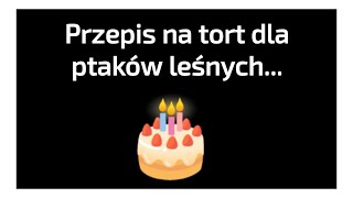 1 Urodziny ptaków leśnych 🐦‍⬛🕊️🦉 [upl. by Maitund]