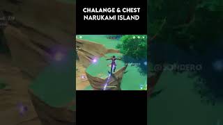 Challenge and Chest Narukami Island [upl. by Busey]