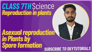 Reproduction in Plants Asexual reproduction in Plants class 7th CBSE by Spore formation spores [upl. by Philbrook]