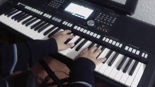 Enya  Lothlorien  cover Yamaha psrs 975  🎹 [upl. by Enerahs11]