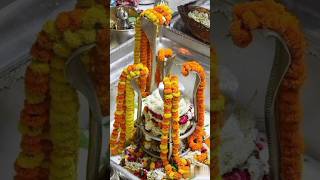 shortsvideo shiv bhajan trending video tandav viralvideo virelshort video viralreels youtube [upl. by Slemmer34]