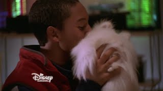 Hounded 2001 Jay Kisses Camille the Dog scene [upl. by Nimsaj]