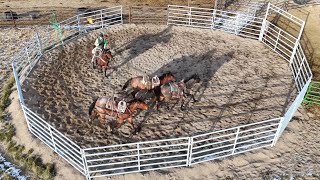 Aerial Round Pen Work  Working Colts With Riggs [upl. by Nolava661]