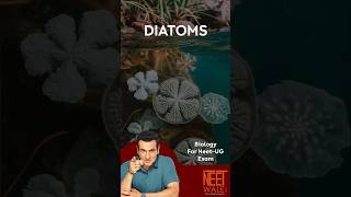 Diatoms  Diatomaceous earth  Biological classification  class 12  NEET BIOLOGY neet biology [upl. by Malvina]