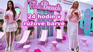 24 HODIN V RŮŽOVÉ BARVĚ CHALLENGE [upl. by Emilie]