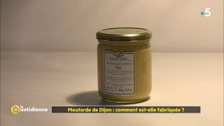 Moutarde de Dijon  comment estelle fabriquée [upl. by Callum]