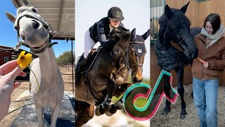 The Cutest HORSES Equestrian TikTok Compilation 222 [upl. by Auqenahc]