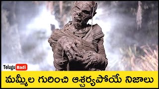 Mummification Explained Telugu  How Mummies Are Made  Mummification Process in Ancient Egypt [upl. by Errecart127]