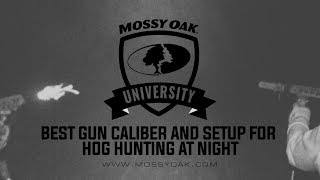 Best Gun Caliber and Setup for Hog Hunting at Night [upl. by Pinzler2]