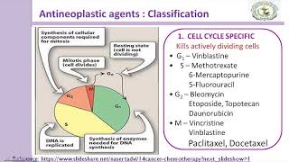 Antineoplastic agents classification [upl. by Eillil778]