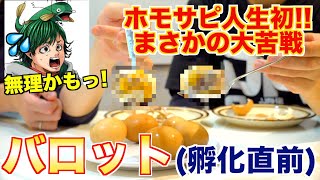 ホモサピさんが初めて食べる『バロット』ってどんな食材？ [upl. by Remlap495]