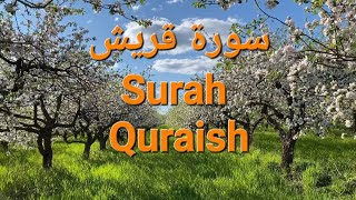 Surah Quraish Recitation  سورة قريش  Holy Quran For All [upl. by Lorrin]