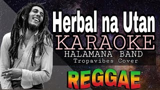 HERBAL NA UTAN  Rapapampam  REGGAE KARAOKE VERSION  MVM KARAOKE PLAYLIST [upl. by Aciraj]