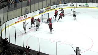 Highlights Cincinnati Cyclones at Wheeling Nailers 11317 [upl. by Sirrap322]