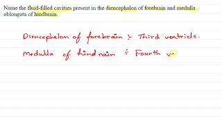 Name the fluid filled cavaties present in the diencephalon of forebrain and medoblongata of hindbra [upl. by Aimat247]