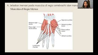 REGIONAL ANTEBRACHIUM DAN MANUS [upl. by Shimberg]