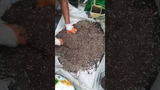 Soil mix for indore plants gardening plants terracegardening [upl. by Bilicki]