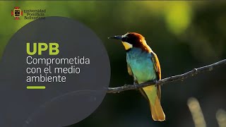 Conoce los proyectos que nos permite la certificación en Basura Cero  UPB Sostenible [upl. by Eseela]