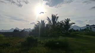 Sold out 5 lakhs DTCP land per cents Near Nagercoil total 25 cents available ct8056301281 [upl. by Atihcnoc]