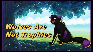 Wolves Are Not Trophies [upl. by Susie]