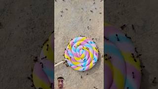 Formiga no doce 🍭🍬 slime candyingminions gummi candy shorts tiktok shortsvideo viral [upl. by Aneek]