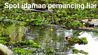 Ini namanya sarang ikan  Spot mancing paling di cari pemancing [upl. by Adiaroz]