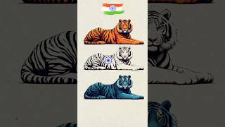 Tiger 🐯 Art 🇮🇳 Indian Flag art 🇮🇳 Independence day special art art shorts short tiger [upl. by Einhpad]